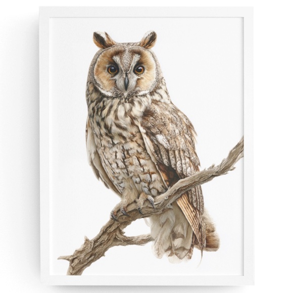 Creative Path Studios Other - Watercolor Long-eared Owl Portrait Wall Art Print Poster, Unframed - Mystical